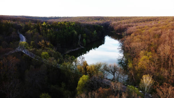 istock Drone photo of mixed forest, countryside view from above, riverbed, river 1449103038