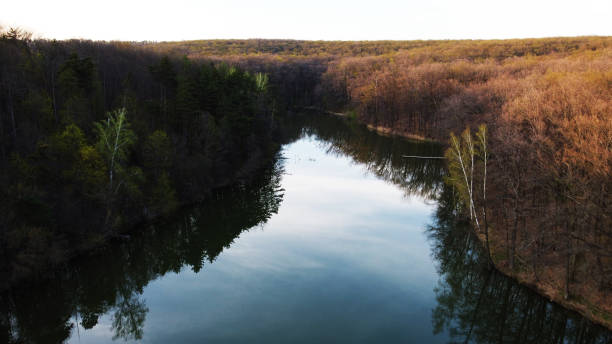 istock Drone photo of mixed forest, countryside view from above, riverbed, river 1449103078
