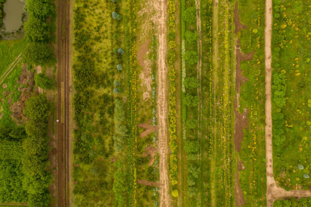 istock Drone photography or rural gardens 1449105123