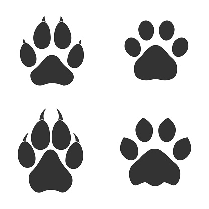 Set of animal paws in gray. Different animal paw print vector illustrations for your web site design, logo, app, UI.  EPS10.