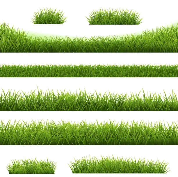 Vector illustration of Green Grass Frame Big Set Isolated White Background