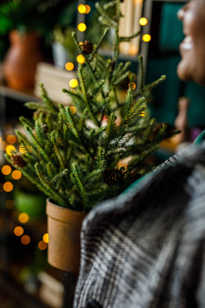 jeune femme rentrant chez elle après avoir fait ses courses, portant un petit sapin de noël dans un pot - women holding shopping bag living room photos et images de collection