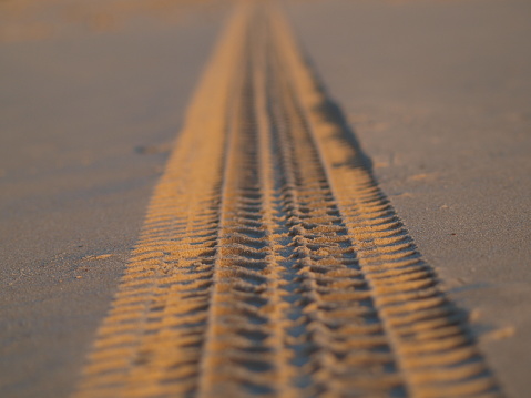 Tracks on the golden sand leading into the sea. close up.