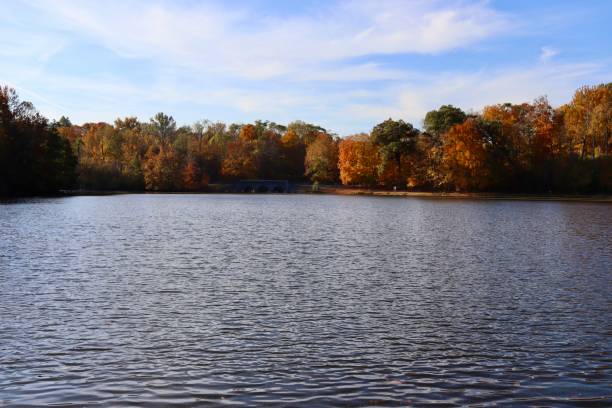 istock Peaceful Lake in the Fall Season 1449117377