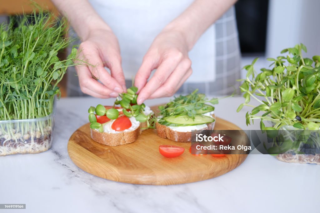 Woman preparing healthy sandwiches with microgreens and vegetables The concept of healthy and proper nutrition. Superfoods and microgreens. Spring harvest of fresh microgreens. Eating right, stay young and modern. Seed Germination at home. Healthy, vegan food. Farm-To-Table Stock Photo
