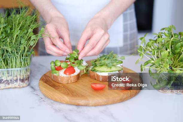 Woman Preparing Healthy Sandwiches With Microgreens And Vegetables Stock Photo - Download Image Now