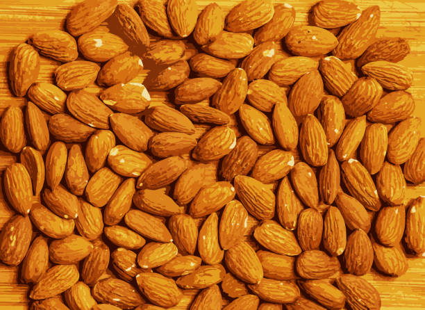 realistische vektordarstellung organische mandel als hintergrund, draufsicht. gesunder snack oder für vegetarier. - peeled almond backgrounds dried food stock-grafiken, -clipart, -cartoons und -symbole