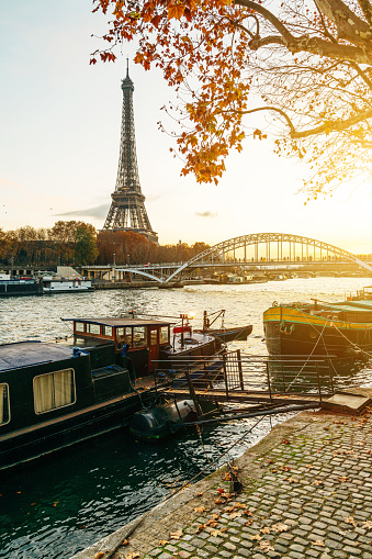 Eiffel Tower at Dawn, Paris, France