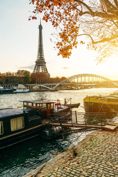 эйфелева башня на рассвете, париж, франция - architecture blue bridge iron стоковые фото и изображения
