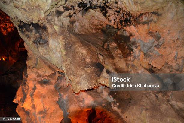 Dark Cave With Rocky Wall Isolated Closeup Stock Photo - Download Image Now - Animal, Animal Body Part, Animal Wildlife