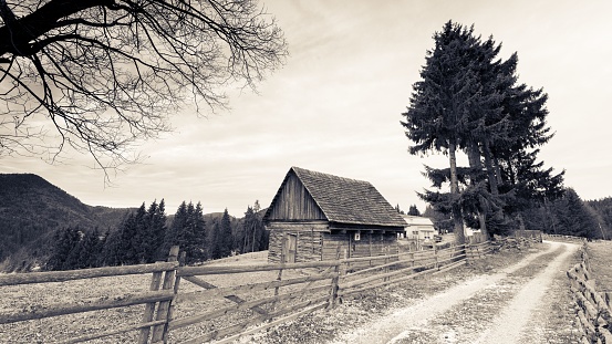 A grayscale shot of rural houses along a dirt road