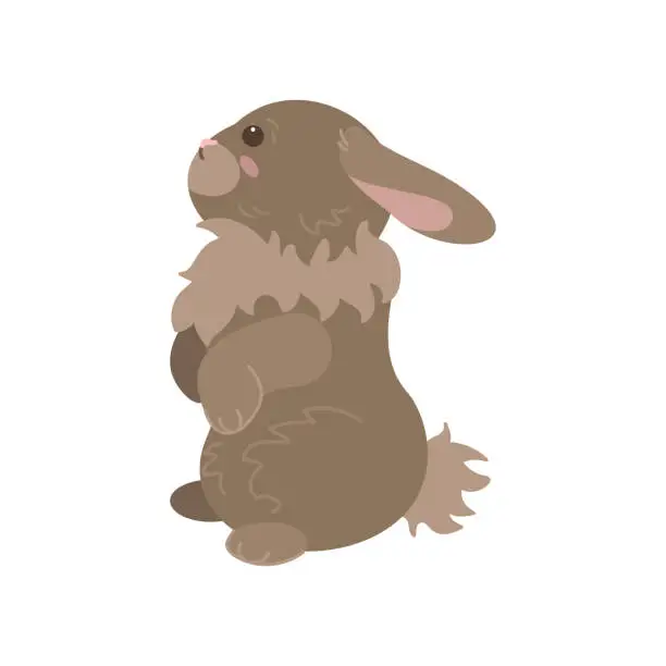 Vector illustration of Cute brown rabbit standing on hind legs on white background