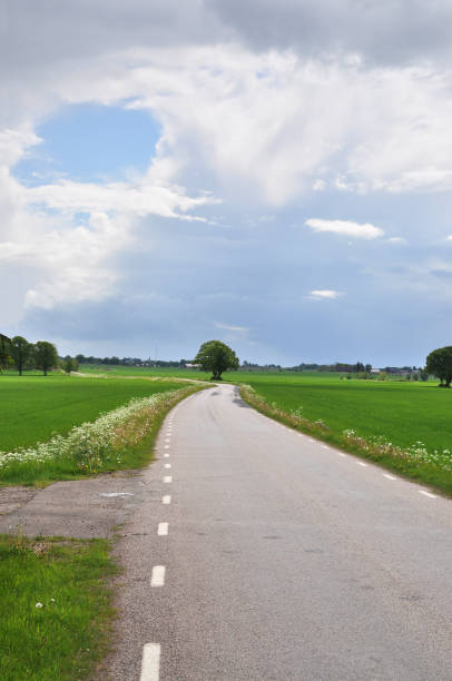 istock Tree at the end of the road 1449126183