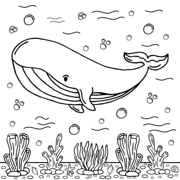 Vector illustration of Whale Coloring Page Colored Illustration