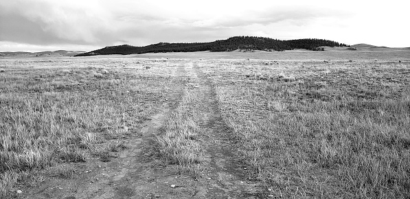 Colorado High Country tire track to no where