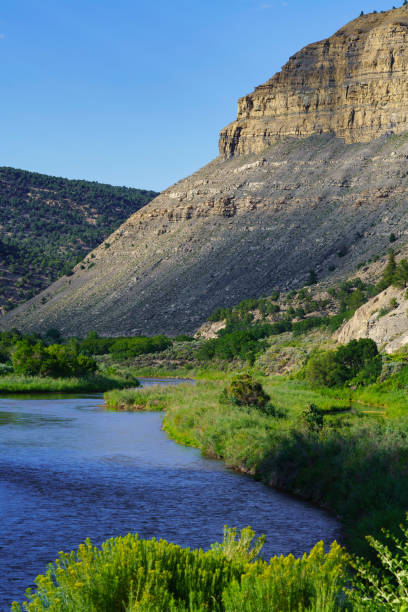 istock Colorado River in Western Part of State 1449128167