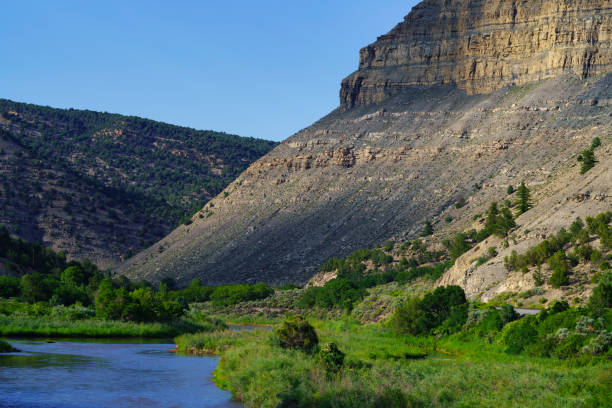 istock Colorado River in Western Part of State 1449129228