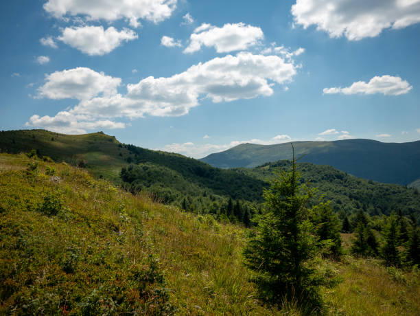 istock Hiking trail in the summer in Poland 1449130014