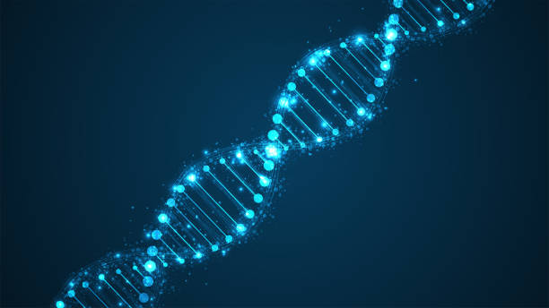 DNA. Medical science, genetic biotechnology, chemistry biology. Innovation technology concept and nano technology background DNA. Medical science, genetic biotechnology, chemistry biology. Innovation technology concept and nano technology background chromosome science genetic research biotechnology stock illustrations