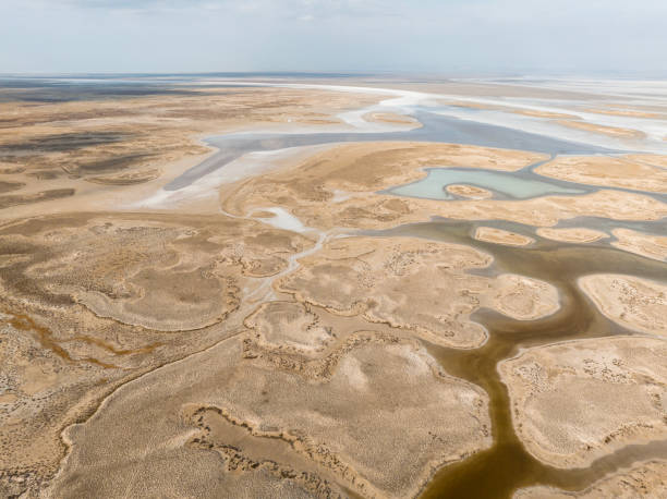 istock Natural shapes and textures on lake 1449137777