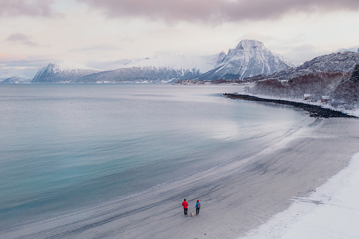 Drone high-angle photo of the couple in colorful jackets contemplatingna happy time with a dog walking at sand beach with crystal blue ocean water and view of snowcapped mountains during dramatic pink december sunset in More og Romsdal, Scandinavia