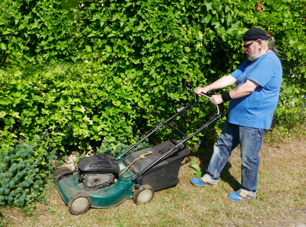 istock Mowing the grass in the sun 1449140962