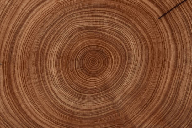 istock Copy space on wooden desk board for page proof. 1449142588