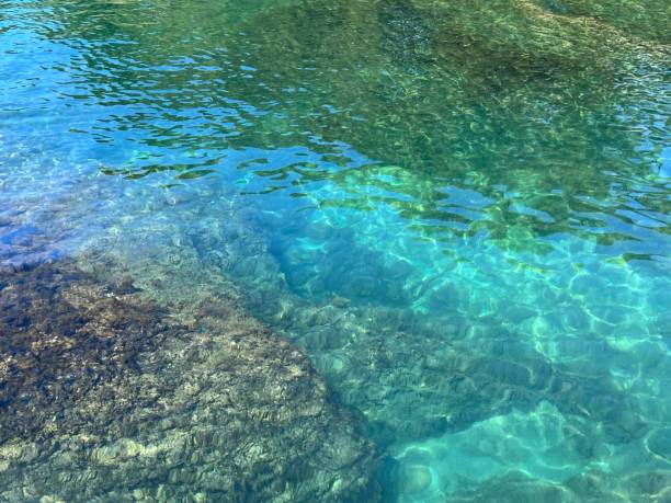 istock Clear water in the turquoise sea. 1449143279