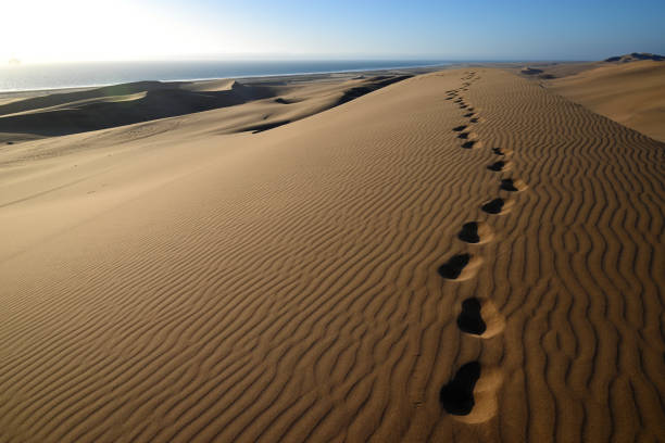 White sands dunes national monument in New Mexico vintage tone sunset looking down abstract pattern of footprints path