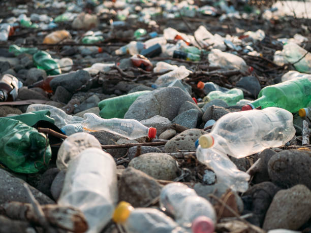 istock Stone beach with plastic waste. Plastic bottles in nature. Environmental pollution concept 1449148208