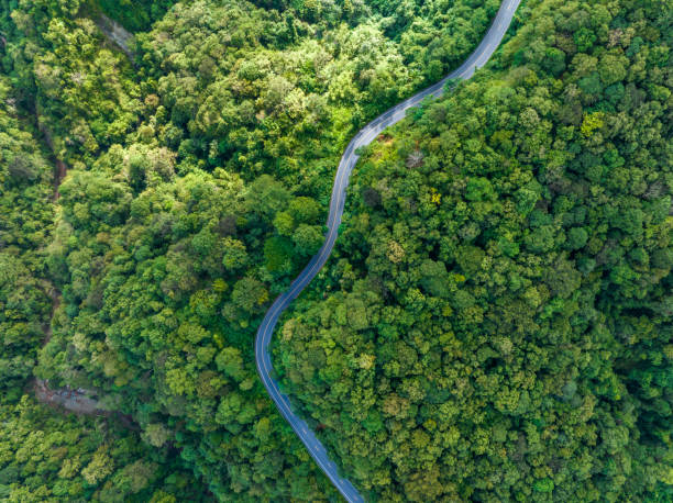 vista aérea de una carretera en medio del bosque, construcción de curva de carretera hasta la montaña - thailand forest outdoors winding road fotografías e imágenes de stock