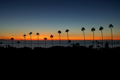 Encinitas Sunset over Swamis with Palm Trees