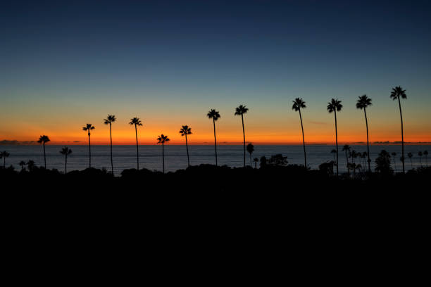 Encinitas Sunset over Swamis with Palm Trees stock photo