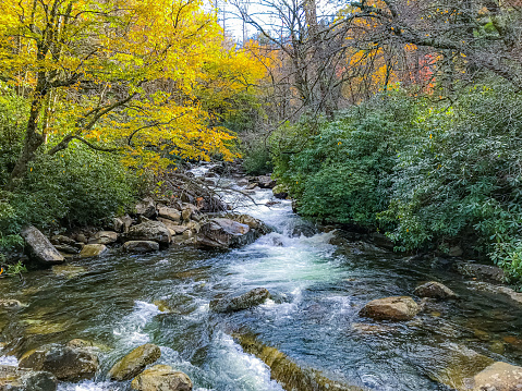 Fall Color Foliage Hits Blue Ridge/Smokey Mountains