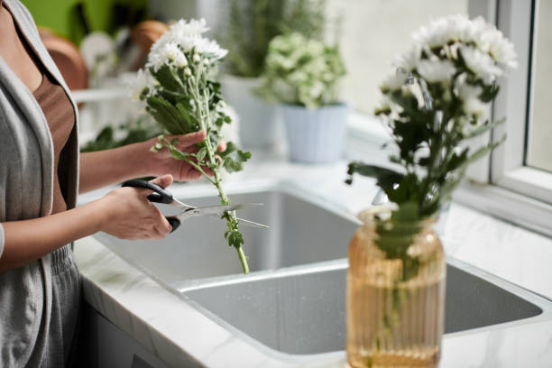 istock Woman Shortening Flower Stems 1449158635