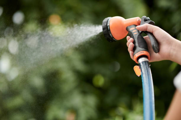 istock Woman Watering Flowers in Backyard 1449158758