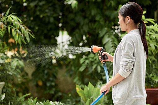 Irrigation sprinkler system at work in a back yard during summer