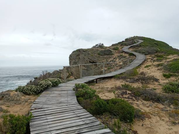 istock Curved wooden pathway up a mountain 1449160001