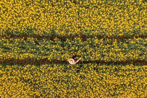 Aerial view of female farmer with digital tablet computer in blooming rapeseed field using innovative technology in agricultural activity