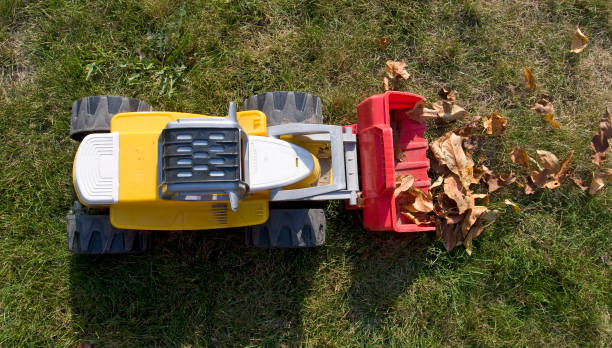 istock toy truck with leaves 1449169634