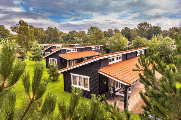 parque holiday bungalow com chalés de madeira nos países baixos - cabin photography europe tree - fotografias e filmes do acervo