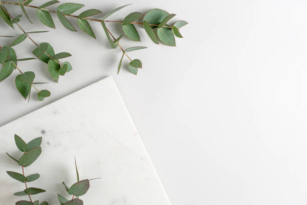 istock Empty marble podium and green eucalyptus branches on light grey background top view. Fresh natural mockup for cosmetic product advertising. Eco concept. Copy space for text 1449180844