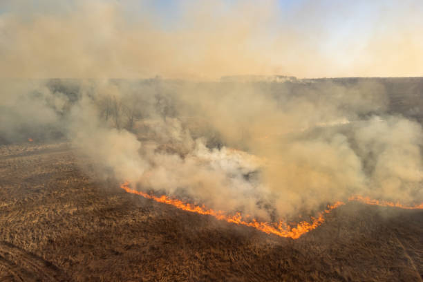 istock Fire in the field, burning dry grass, flames and smoke 1449189528