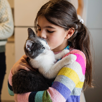 Middle eastern young girl kissing cat in small appartement. She is 9 year’s old and have long brown hair. Kitten is 4 month’s old. Square waist up indoors shot. This was taken in Montreal, Quebec, Canada.