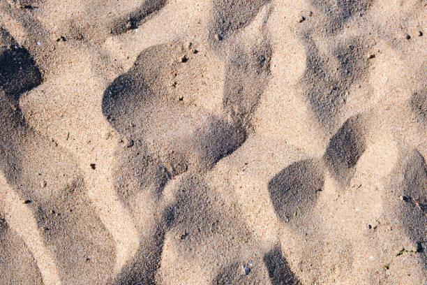 istock Flat view of clean yellow sand surface covering seaside beach. Sandy texture 1449198519