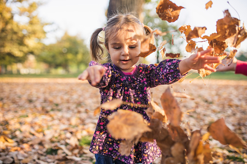 Cute little girl playing in the fallen orange leaves