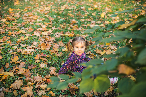 Little girl playing in autumn park with golden maple leaves