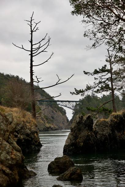 deception pass state park - puget sund stock-fotos und bilder