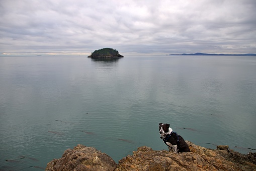 Deception Pass State Park on Puget Sound is one of the Crown Jewels in the Washington State Parks system.