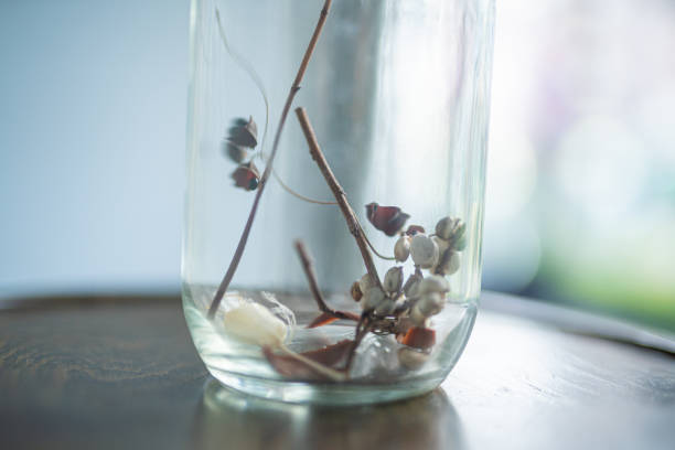 Dried flowers in the room
